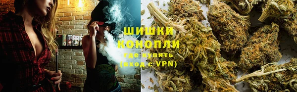 шишки Балабаново