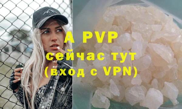 гидра Балахна