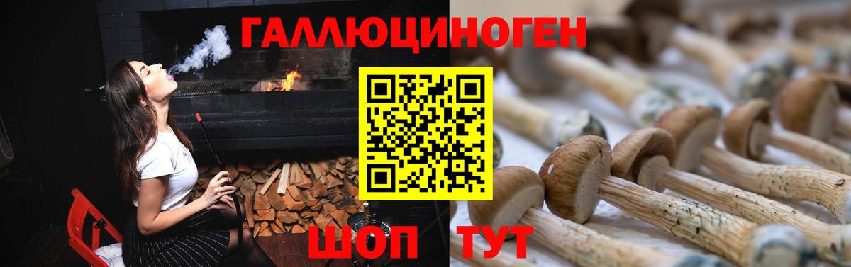 Псилоцибиновые грибы Psilocybine cubensis Мурманск
